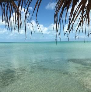 Meet your Posher, Janice